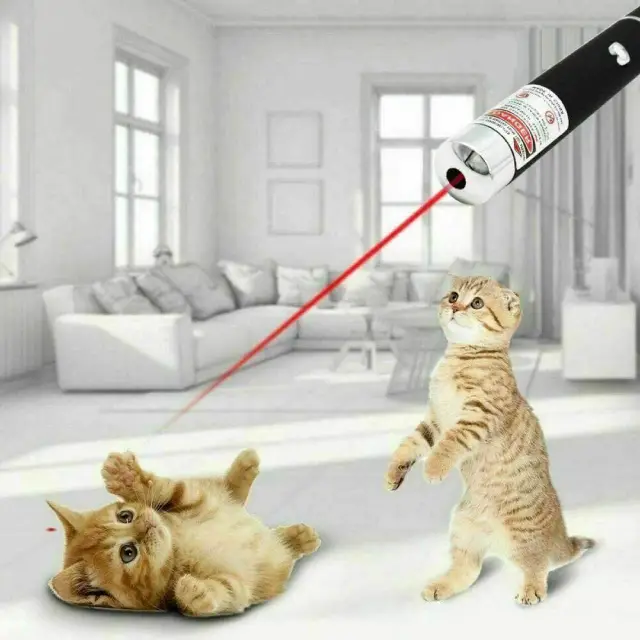 1mW Laser Pointer Pen – Beam Light for Presentations, Pets & Red laser pointer pen UK - Image 2