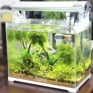 Aquarium Thermometer | Best products in uk