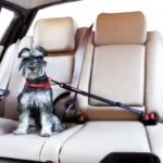 Black Car Seat Belt for Dogs – Adjustable Travel Restraint System for Small to Large Pups – Best Selling Product in UK - Image 4